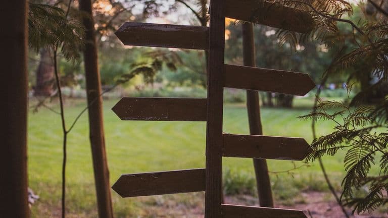 Wooden signpost with multiple arrows pointing in different directions