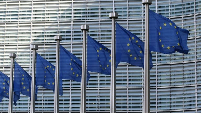 Row of European Union flags outside a government building